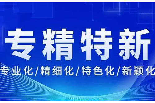 重磅！博士有成成功入选广东省2022年专精特新中小企业!